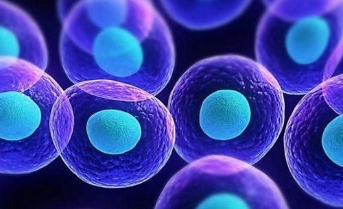 精子碎片率高能做三代试管吗？如何解决？