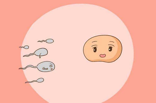 试管婴儿准妈妈怀孕后咋保胎？
