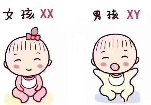 试管3代成功率怎么样？有提高攻略吗？