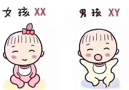 卵巢早衰的女性去美国做试管，能不能取到优质的卵子？