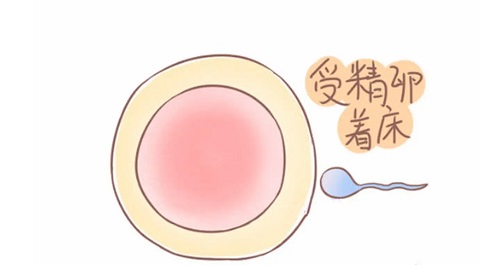 试管婴儿做一次多少钱