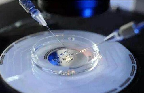 试管医院做试管婴儿多少钱