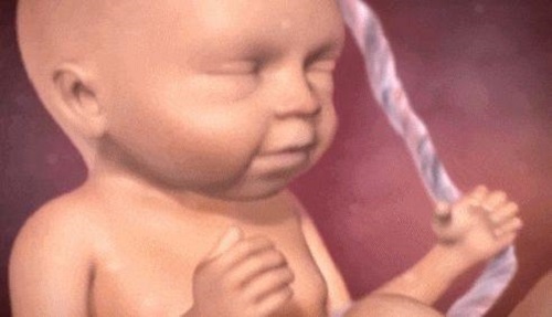 卵泡发育不良致不孕，美国试管婴儿提高孕力的4个锦囊