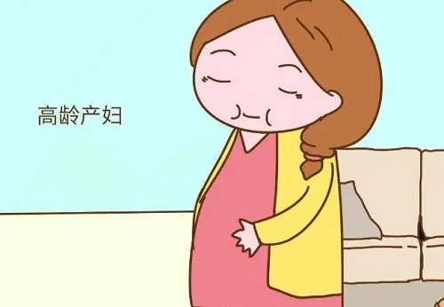 试管婴儿冷冻胚胎移植的成功率如何呢