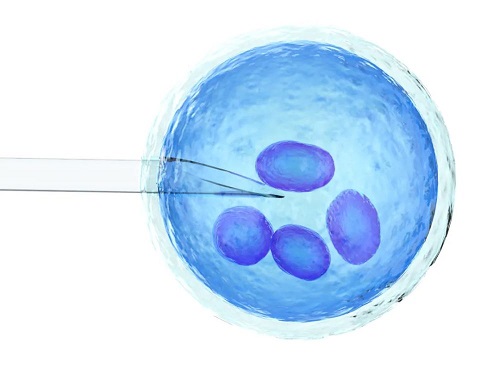 基础卵泡5个左右，通过美国试管还能怀孕吗？