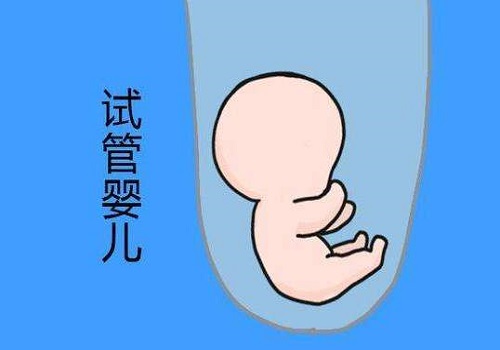 试管婴儿期间遇到的阻碍