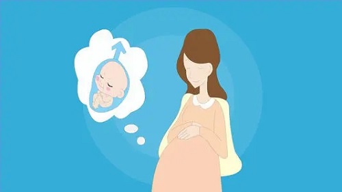 高龄女性提高试管婴儿成功率要从卵泡开始