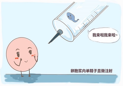 试管助孕费用总共要多少钱