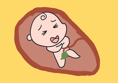 去美国做试管婴儿： 雌激素过高或过低该怎么办？