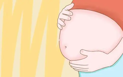 试管婴儿三代基本不会胎停，真的吗？