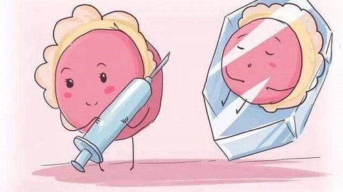 试管婴儿前期准备之如何提高卵子质量