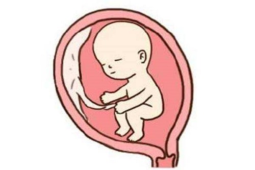 备孕多年没有怀上，可以去美国做试管婴儿吗？