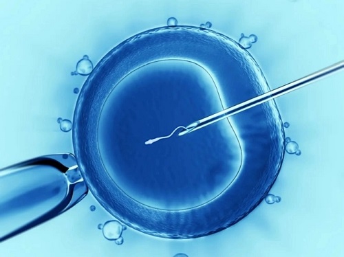 卵巢早衰的女性去美国做试管，能不能取到优质的卵子？