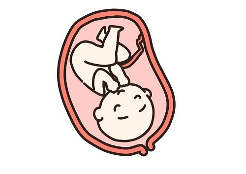 第二次试管医疗费用是多少？如何提高成功率？