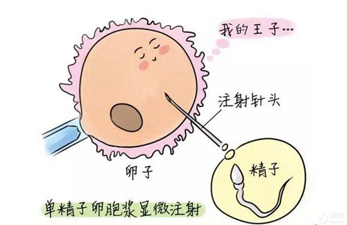 中国哪个医院做试管婴儿最好