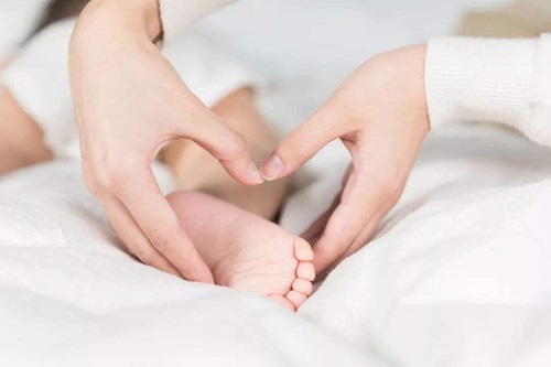 精子碎片率高会影响试管婴儿成功率吗？