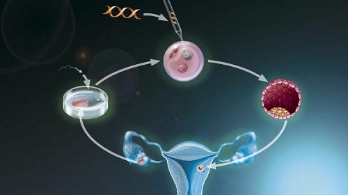 精子成活率只有百分之十可以做试管助孕吗？