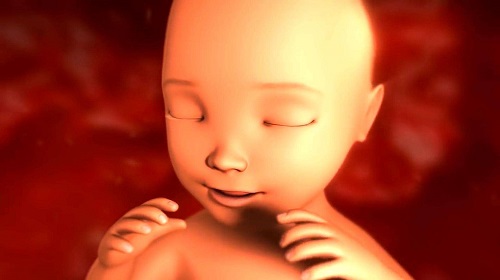 试管婴儿前期检查项目：宫腔镜
