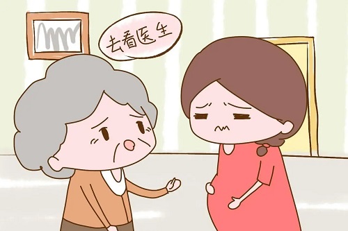 提高俄罗斯试管婴儿成功率的饮食方法