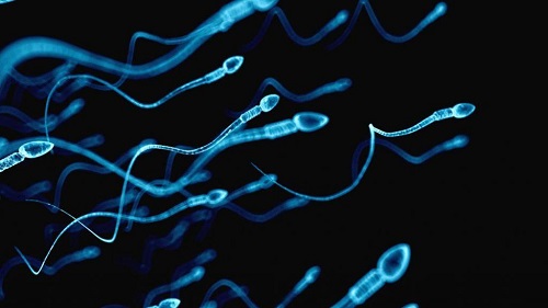 2022泰国试管婴儿大概费用是多少？要二十万吗？