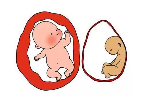 试管婴儿为什么要培养囊胚，有什么优点？