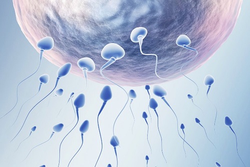 试管婴儿是老公的精子吗？移植后会发生宫外孕吗？